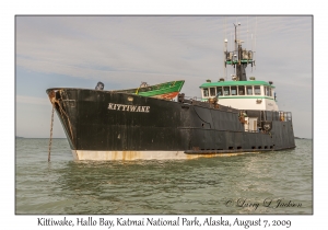 MV Kittiwake