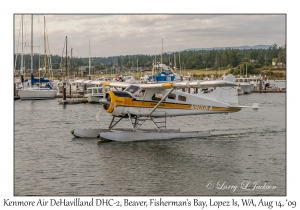 Kenmore Air DeHavilland DHC-2, Beaver