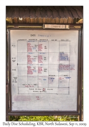 Kungkungan Bay Resort Daily Dive Scheduling