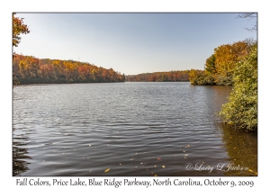 Fall Colors