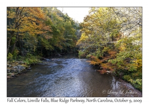 Fall Colors