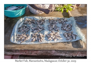 Market Fish