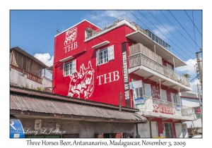 Three Horses Beer