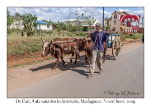 Ox Cart