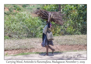 Carrying Wood