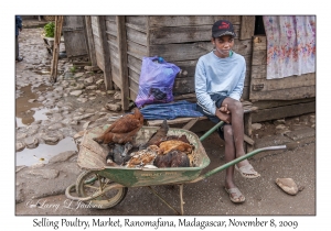 Selling Poultry