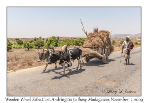 Zebu Cart