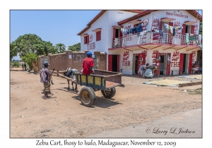 Zebu Cart