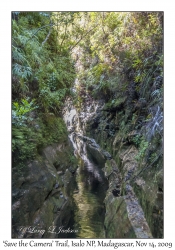 Save the Camera Trail