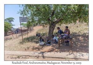 Roadside Food