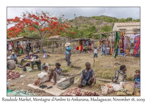 Roadside Market