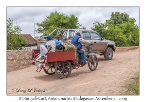 Motorcycle Cart