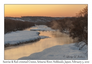 Sunrise &  Red-crowned Cranes