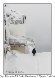 Top of Gondola