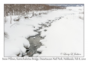 Kamichubetsu Bridge