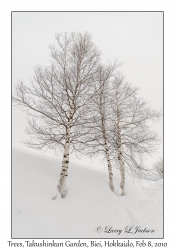 Trees