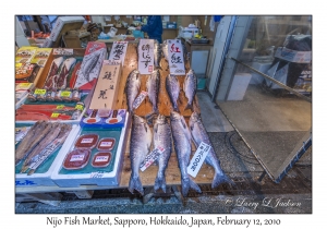 Nijo Fish Market