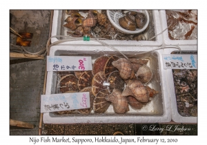 Nijo Fish Market