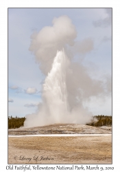 Old Faithful