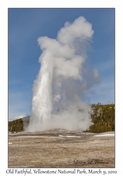 Old Faithful