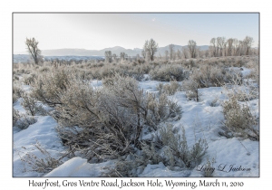 Hoarfrost