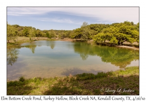 Elm Bottom Creek Pond