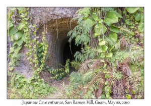 Japanese Caves