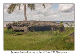 Japanese Bunker