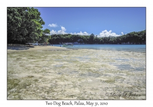 Two Dog Beach