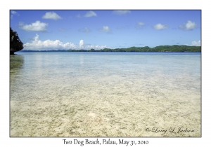 Two Dog Beach