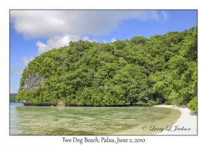 Two Dog Beach