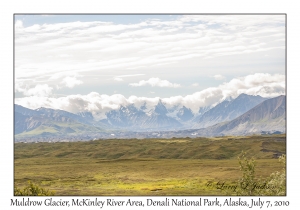 Muldrow Glacier