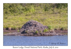 Beaver Lodge