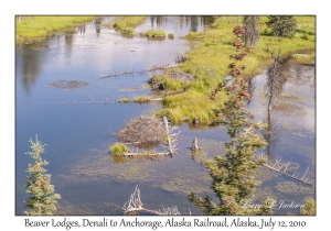 Beaver Lodges