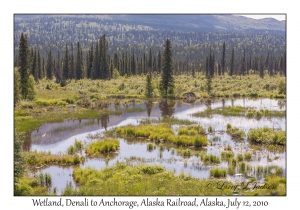 Wetland