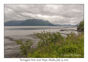 Turnagain Arm