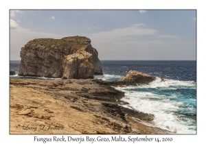 Fungus Rock