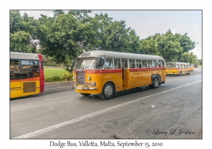 Dodge Bus