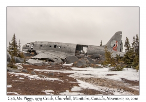 Curtiss C46, Ms. Piggy