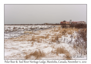 Polar Bear & Seal River Heritage Lodge