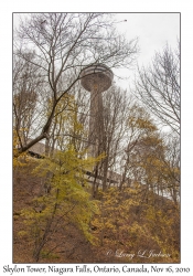 Skylon Tower