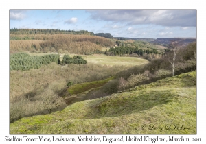 Skelton Tower View