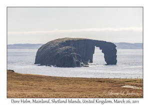 Dore Holm