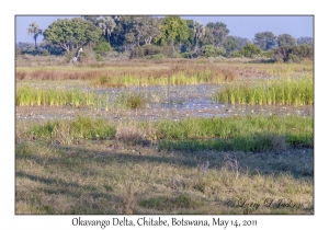 Okavango Delta