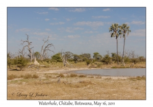 Waterhole