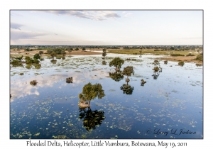 Flooded Delta