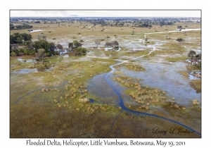 Flooded Delta