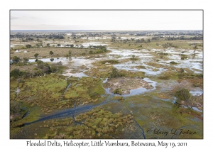 Flooded Delta