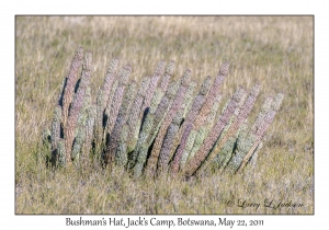 Bushman's Hat