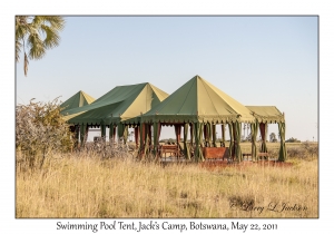 Swimming Pool Tent